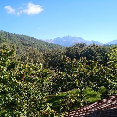 L'Ogliastru Bed & Breakfast Ucciani Dış mekan fotoğraf