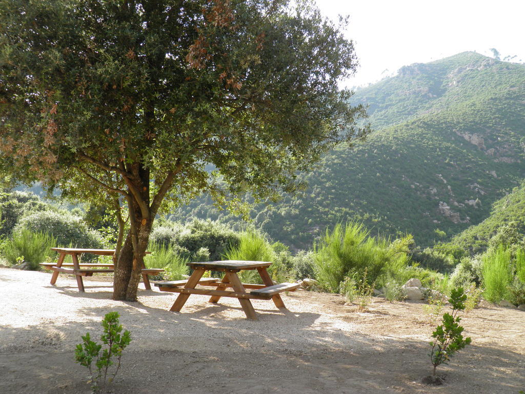 L'Ogliastru Bed & Breakfast Ucciani Dış mekan fotoğraf