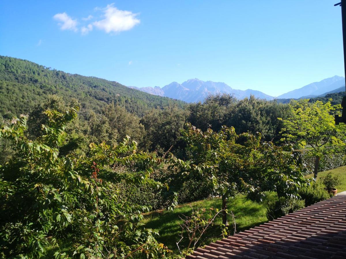 L'Ogliastru Bed & Breakfast Ucciani Dış mekan fotoğraf